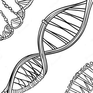 Dna Gujo Saegcil Gongbu 129942-63012