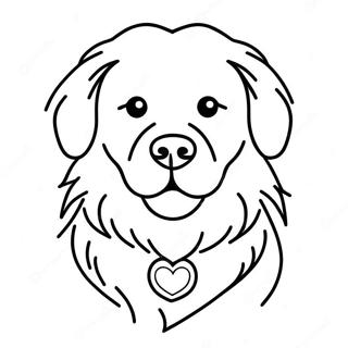 Bogseulbogseulhan Goldeun Riteuribeo Saegcil Gongbu 1901-2154