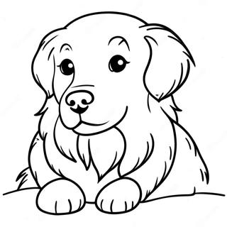 Bogseulbogseulhan Goldeun Riteuribeo Saegcil Gongbu 1901 2156