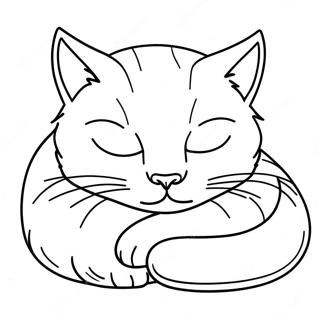 Jolrin Goyangi Najjam Saegcil Gongbu 2174 2795