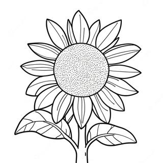 Geodaehan Haebaragi Saegcil Gongbu 60142-13186