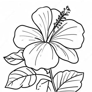 Yeoldae Hibiseukeoseu Saegcil Gongbu 83394-24712